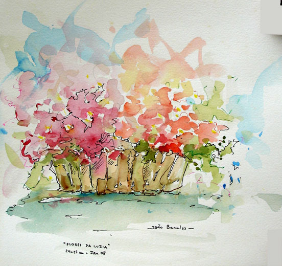 Flores da Luzia