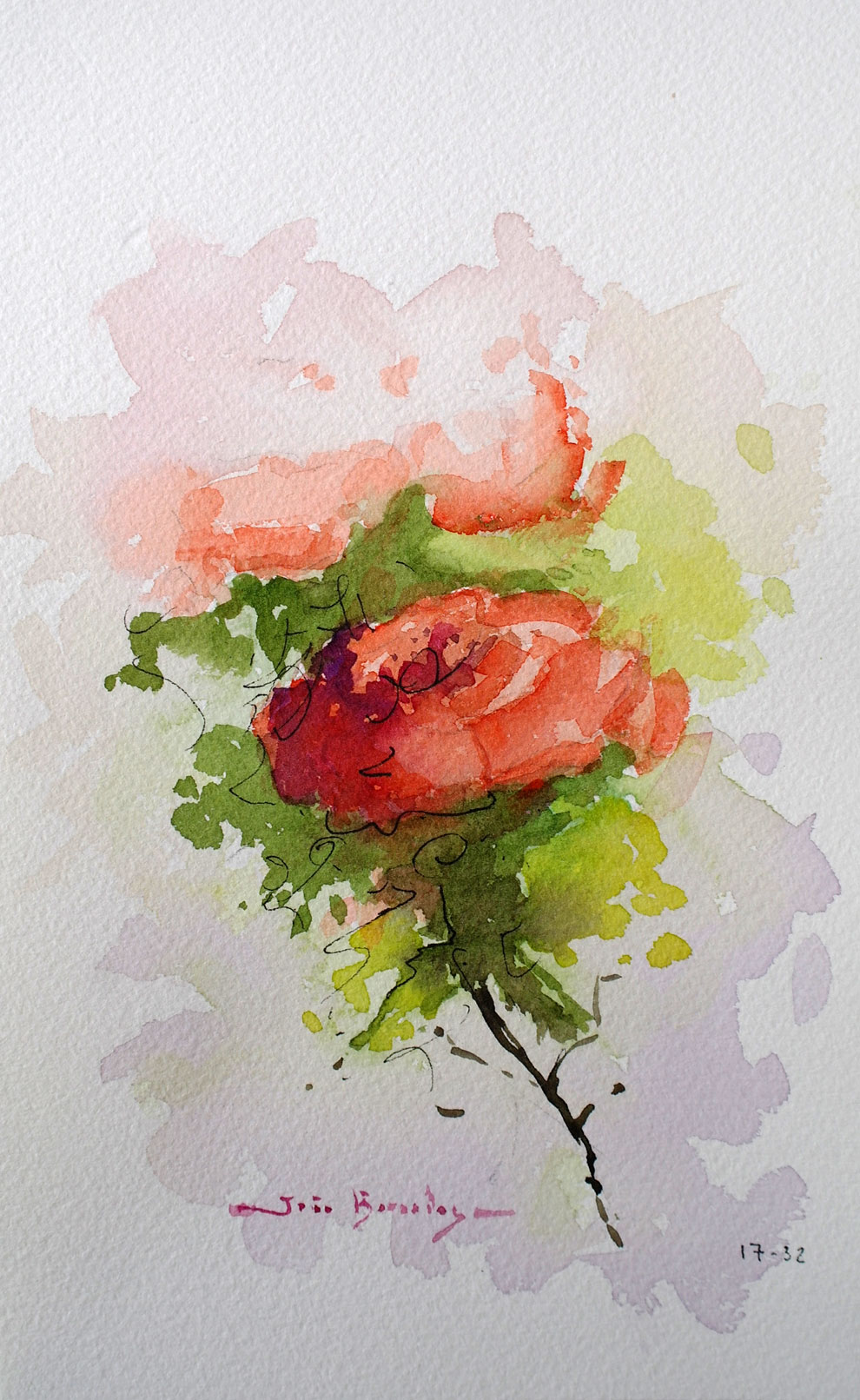 Rosas VI