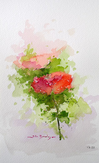 Rosas VII