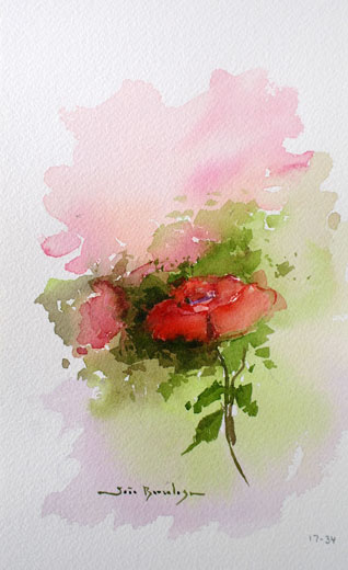 Rosas VIII