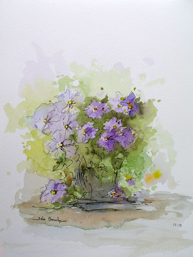 Violetas