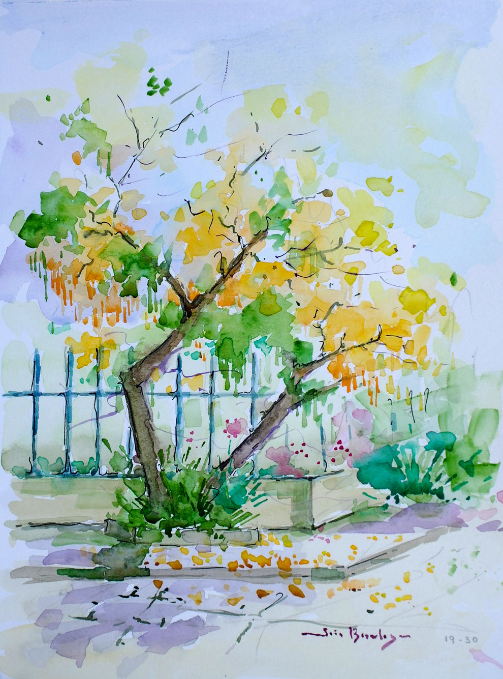 Esquina com Ipê Amarelo