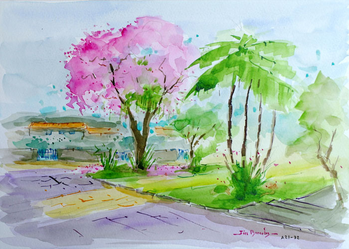 A Primavera chegando