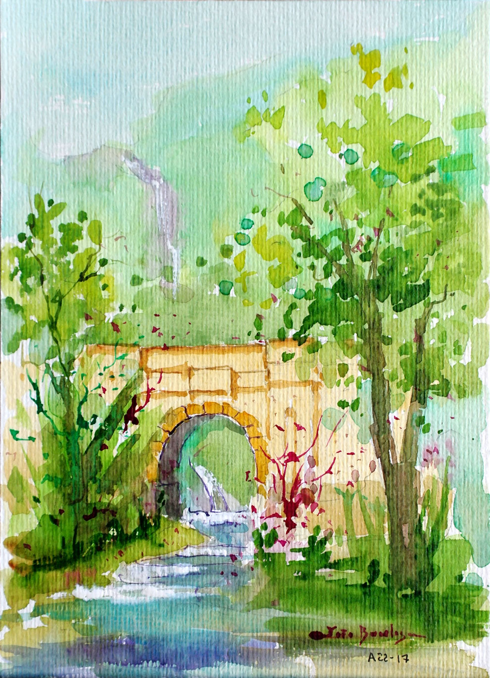 Little Fall - Tijuca Park